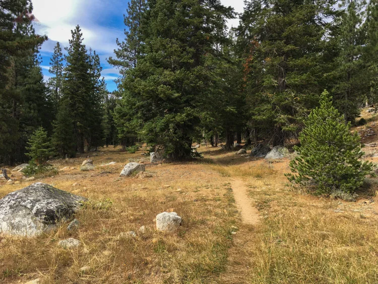 The Boulder Creek Trail