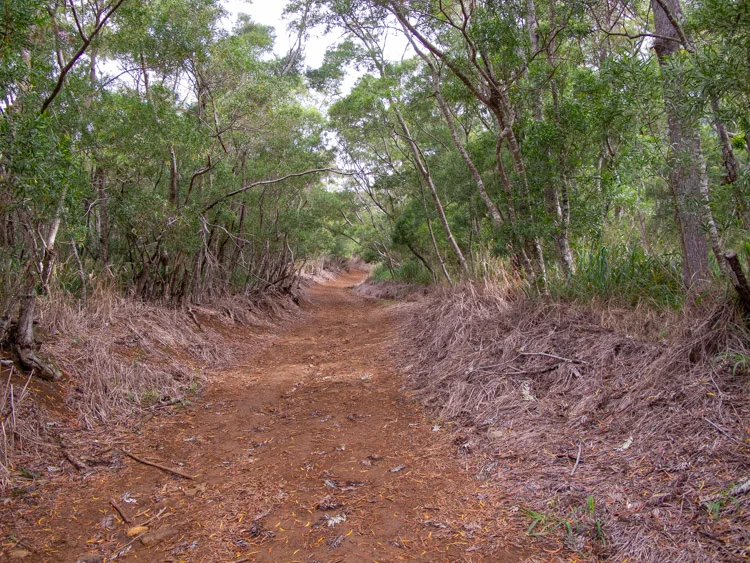 Waianae Valley Trail to Ka'ala
