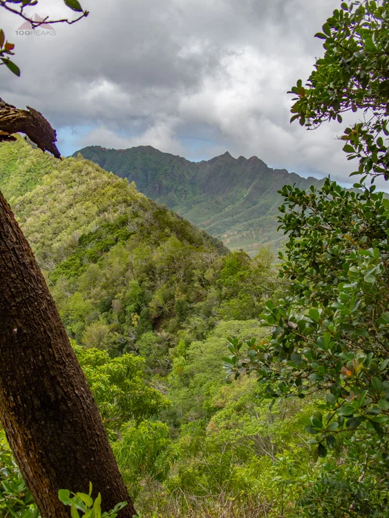 Makua Keaau Ridge from Ka'ala Ridge Trail