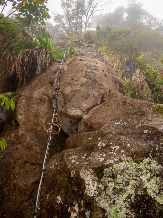 Exposure on the Ka'ala Ridgeline Trail