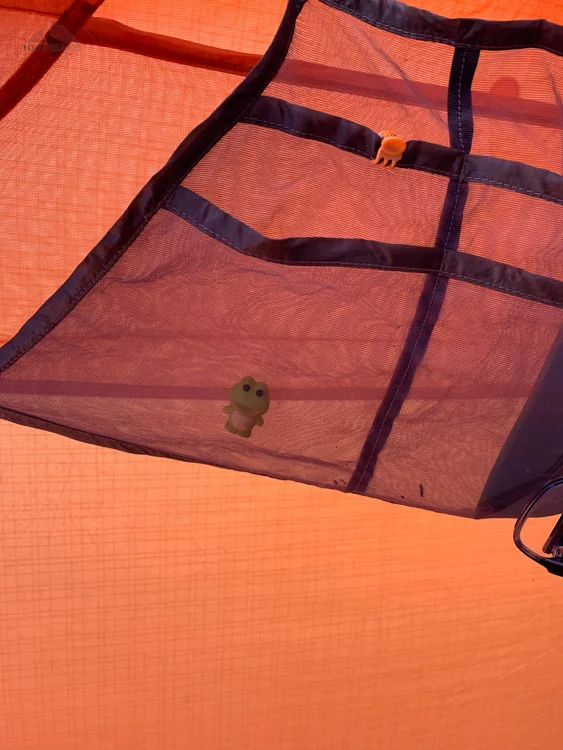 Froggy has been a lot of places