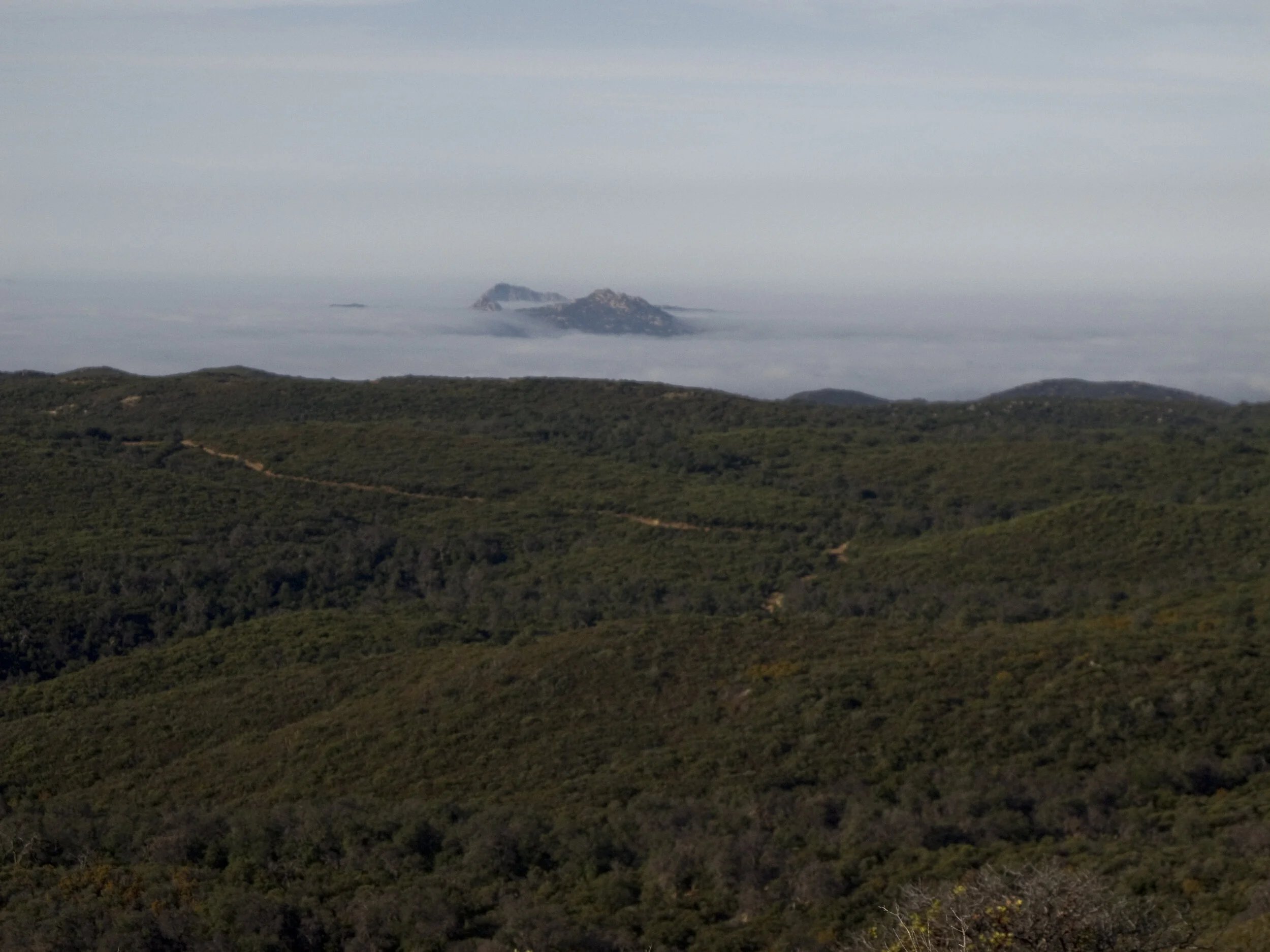 Corte Madera and Los Pinos Mountain in the distance