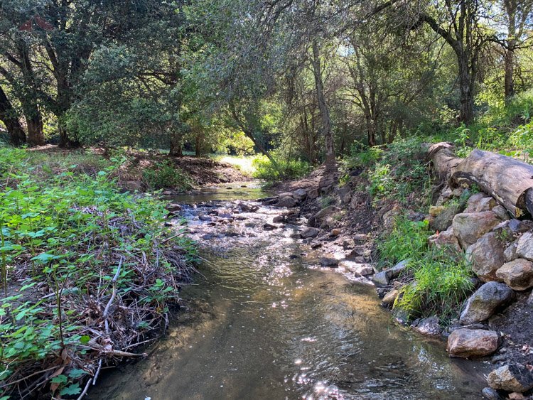 Santa Ysabel Crk, June 2019