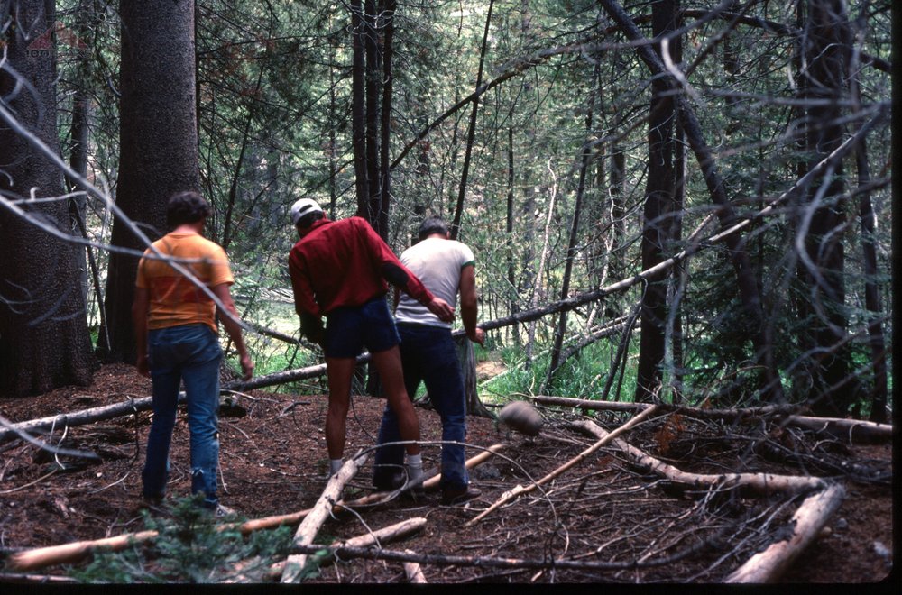 Chopping firewood with a rock