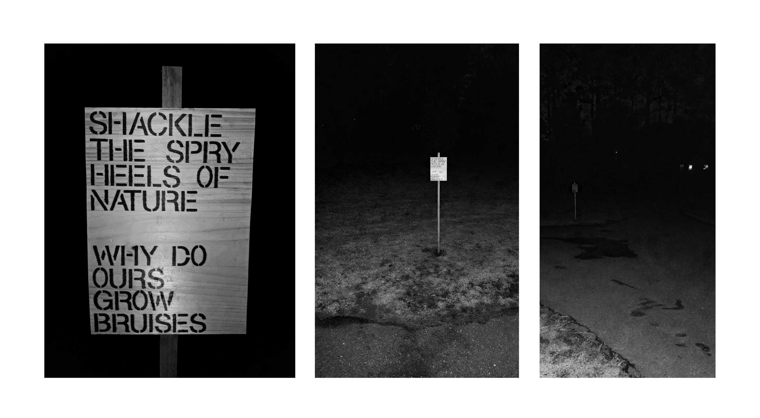 Untitled-1 B&W.png