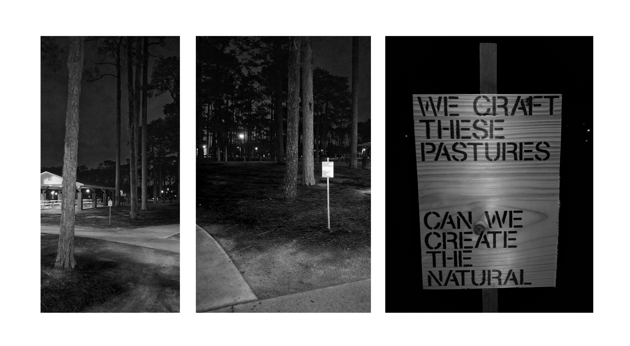 Untitled-1 B&W.png