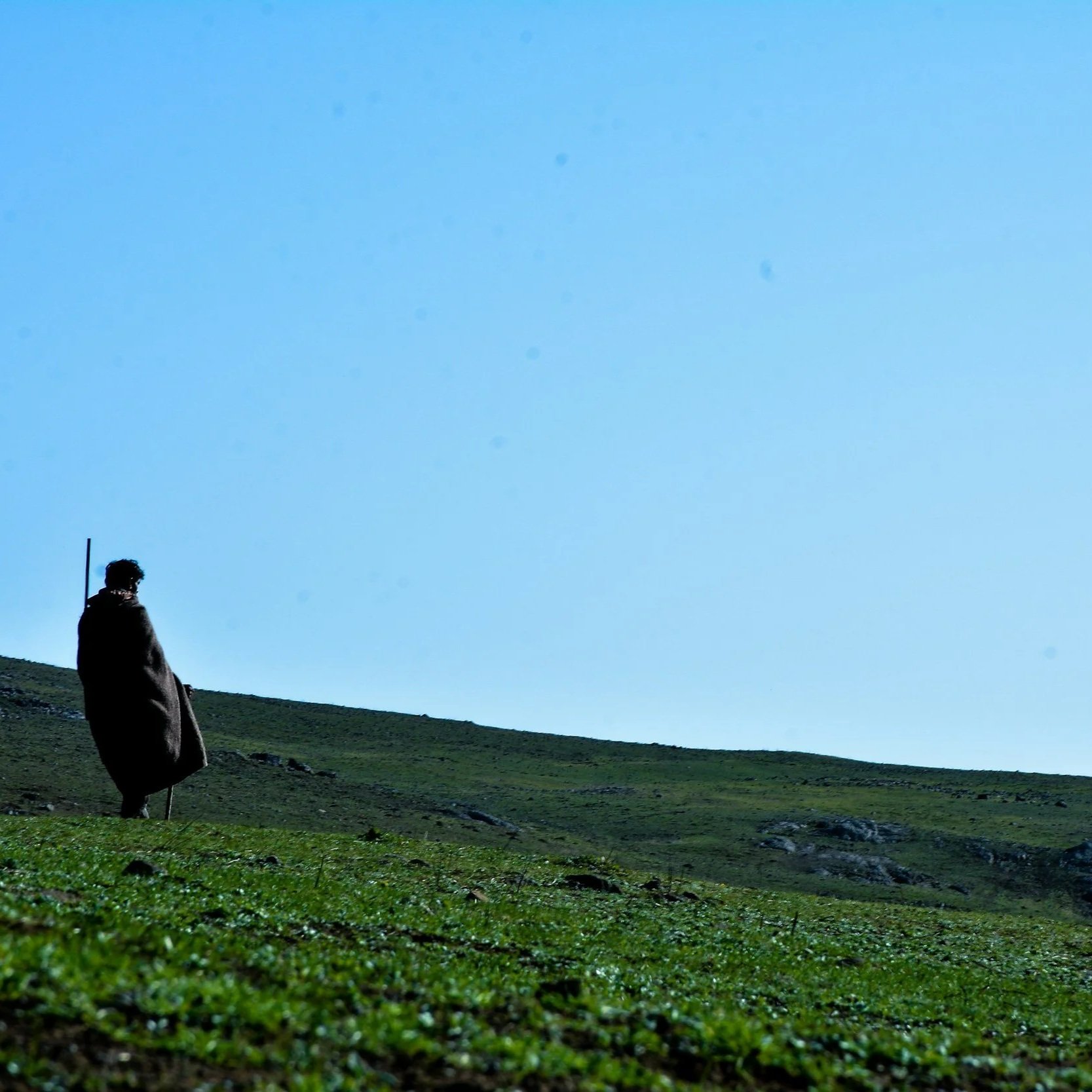 The LORD is MY Shepherd