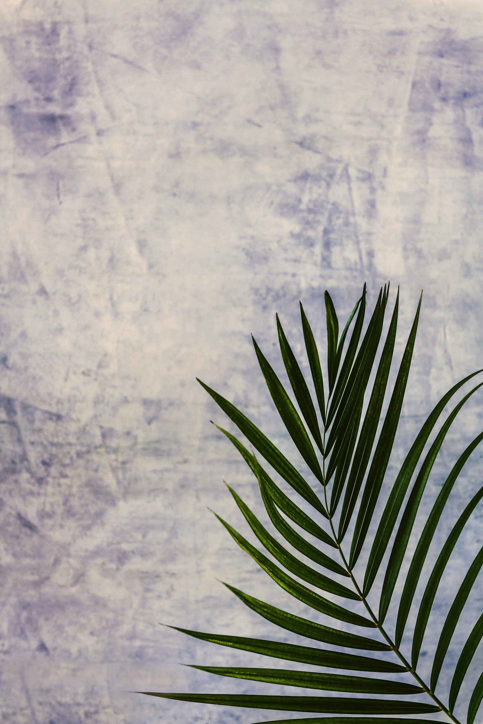 Palm Sunday: It's About Attitude