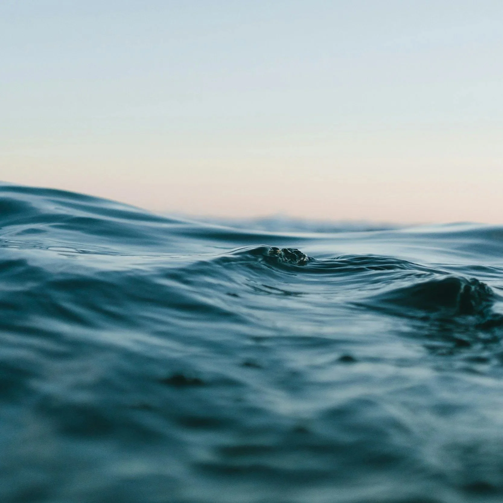 Water Walker