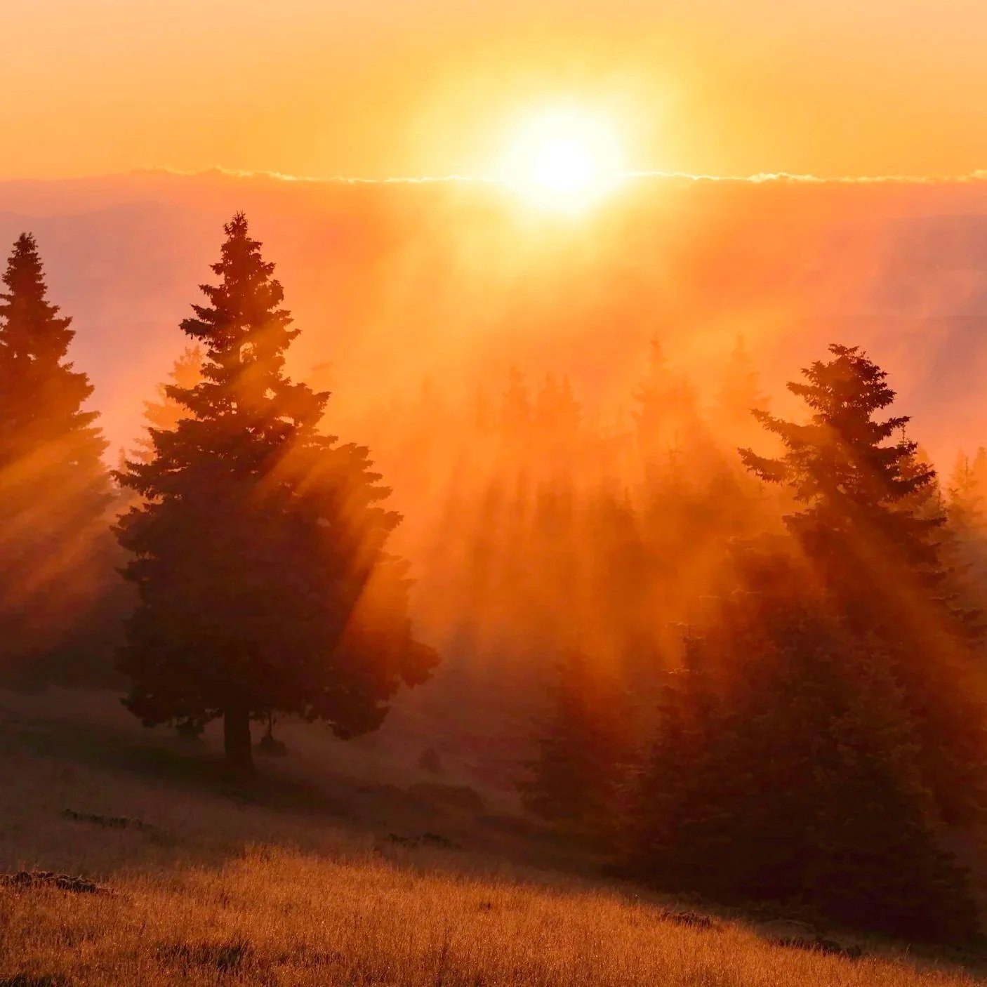 Three Miracles of Peter