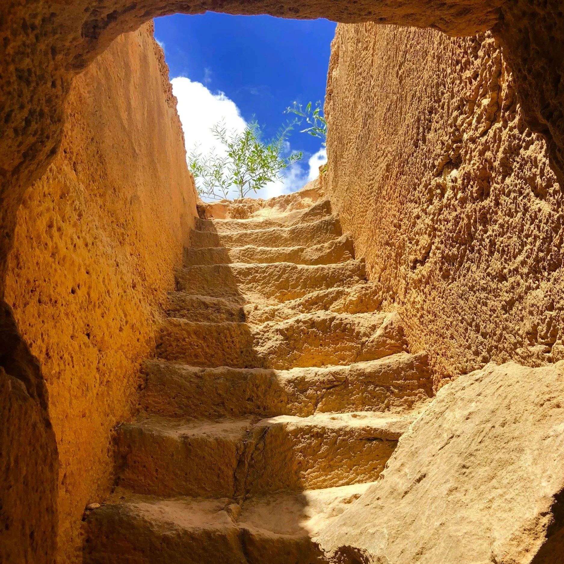 Every Lazarus, Come Forth