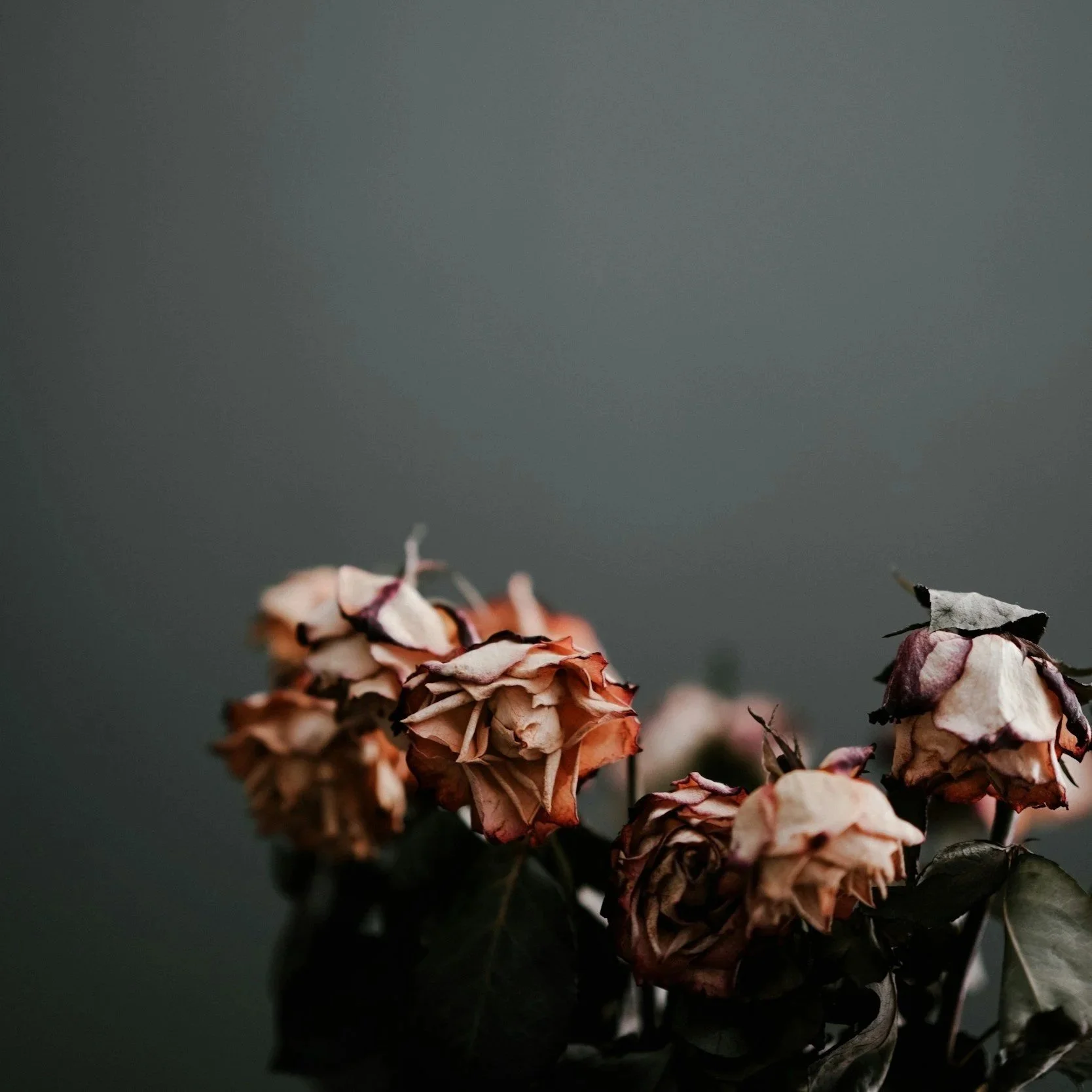 Lied to the Holy Spirit