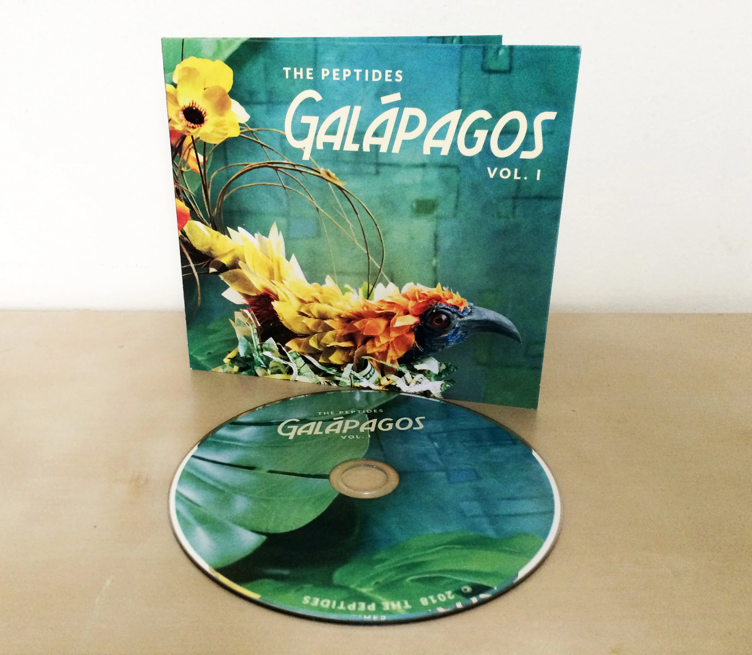 GVI CD.JPG