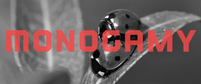 Is Monogamy a Natural Human Behavior?