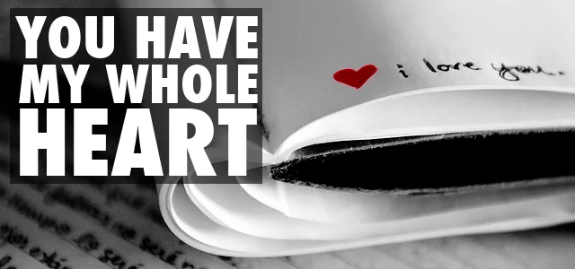 You Have My Whole Heart