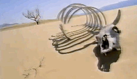 desert gif.gif