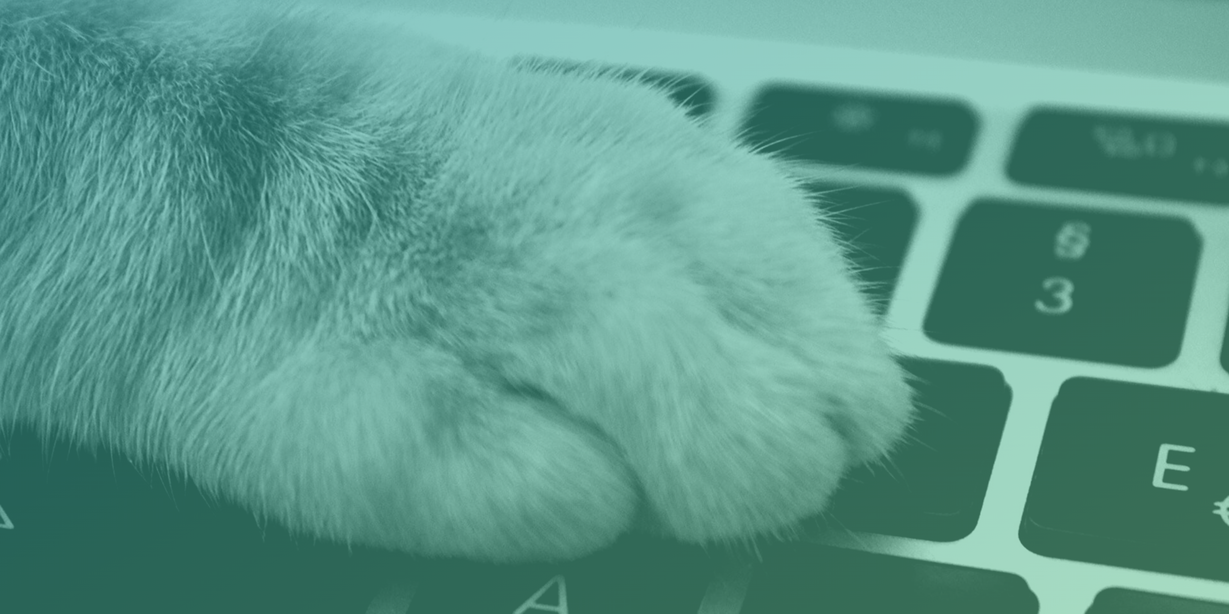 Are You Actually Hurting Your Partner By Trying To Help?