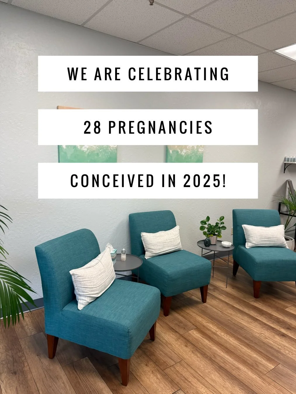 I love helping women get pregnant. I specialize in both natural conception as well as IUI and IVF support. 

#fertility #acupuncture #roseville