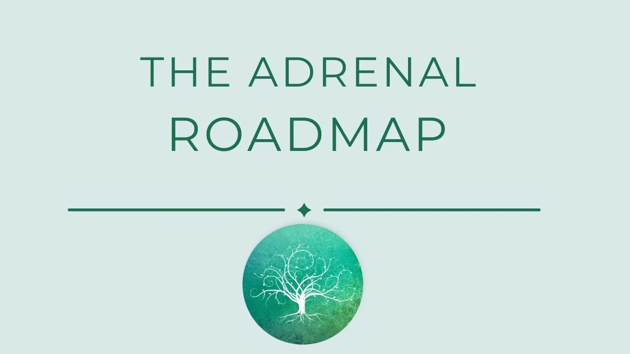 Adrenal Roadmap Thumbnail .jpg