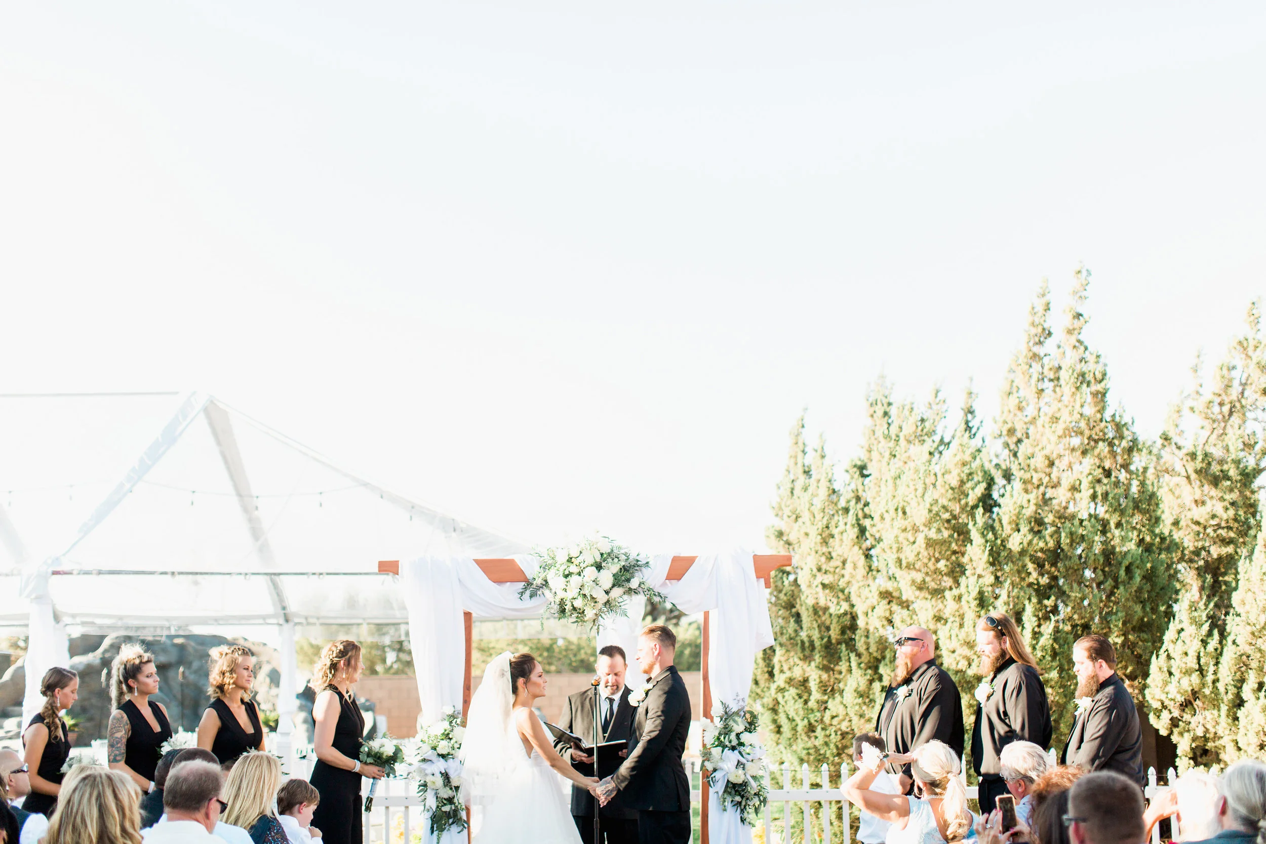 Lexi_Ian_Backyard_Wedding_Lancaster_California_Dessert (24b).jpg