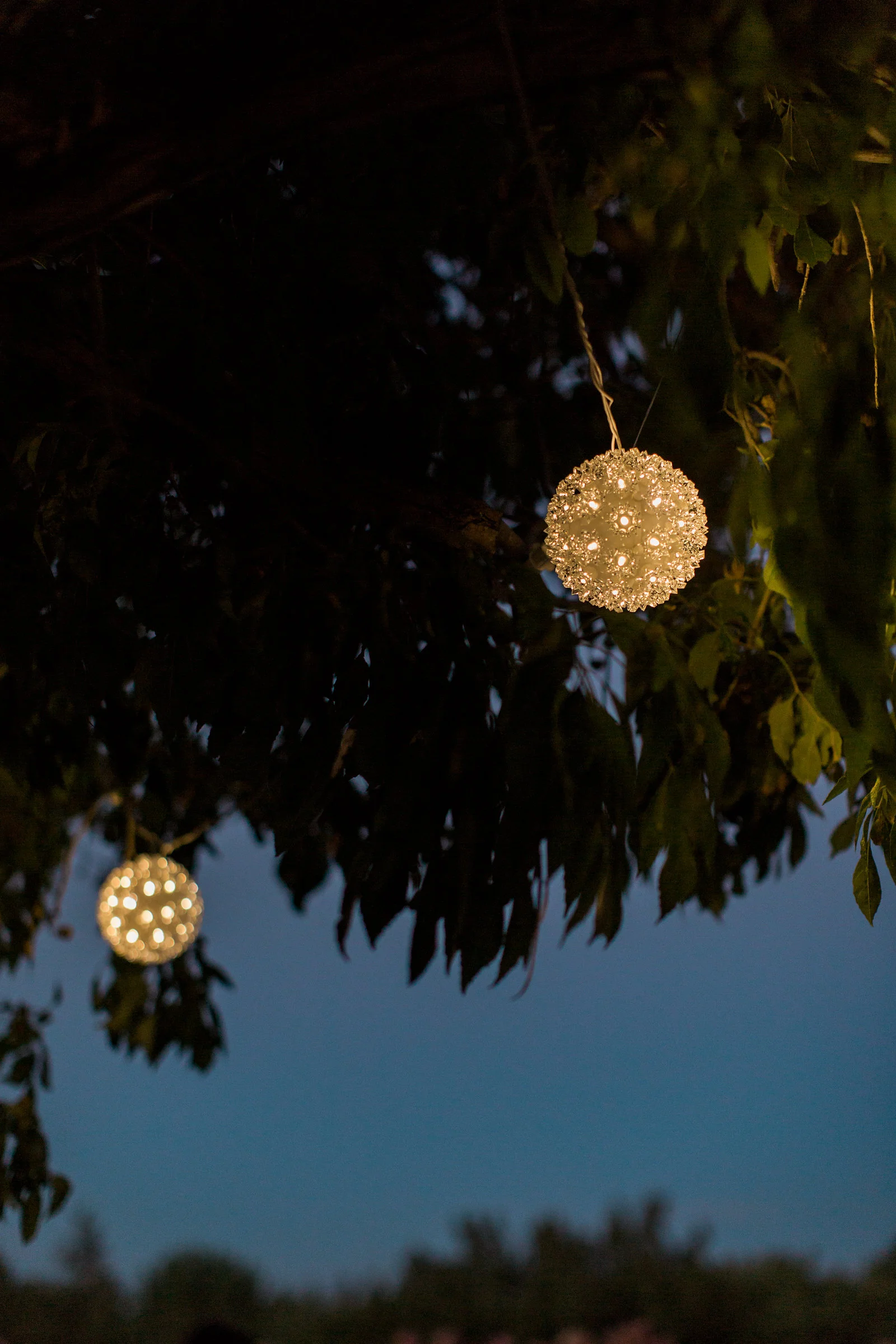 Lexi_Ian_Backyard_Wedding_Lancaster_California_Dessert (238).jpg