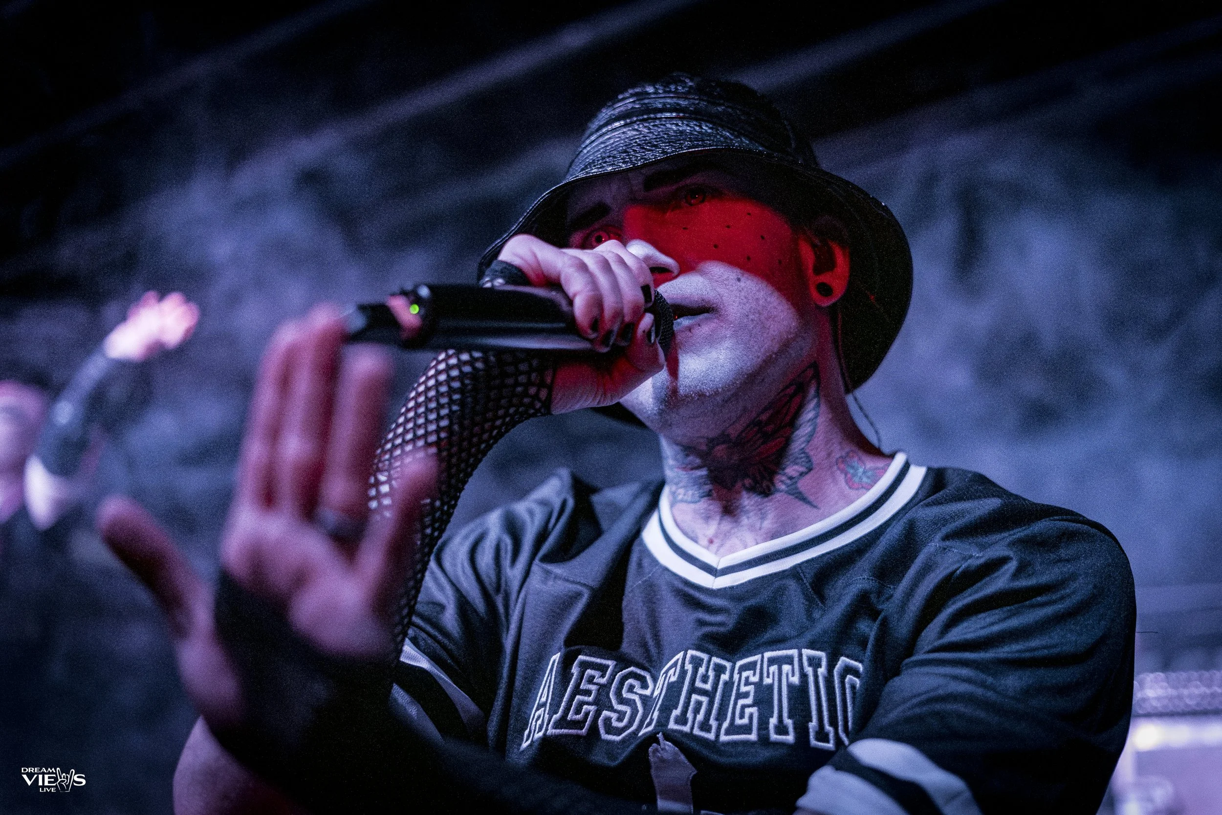 Aesthetic Perfection Concert - San Diego