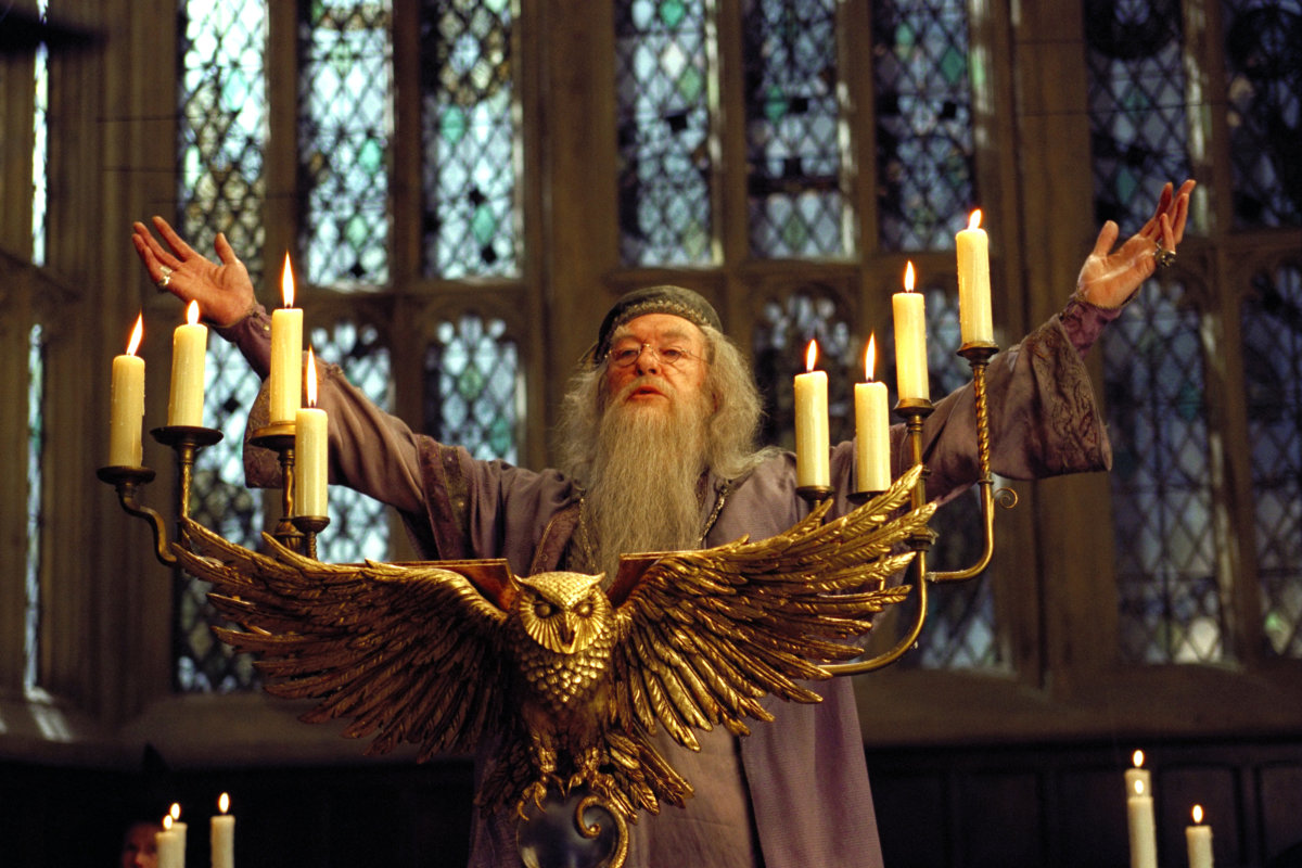 ALBUS DUMBLEDORE- example of trait leader. 