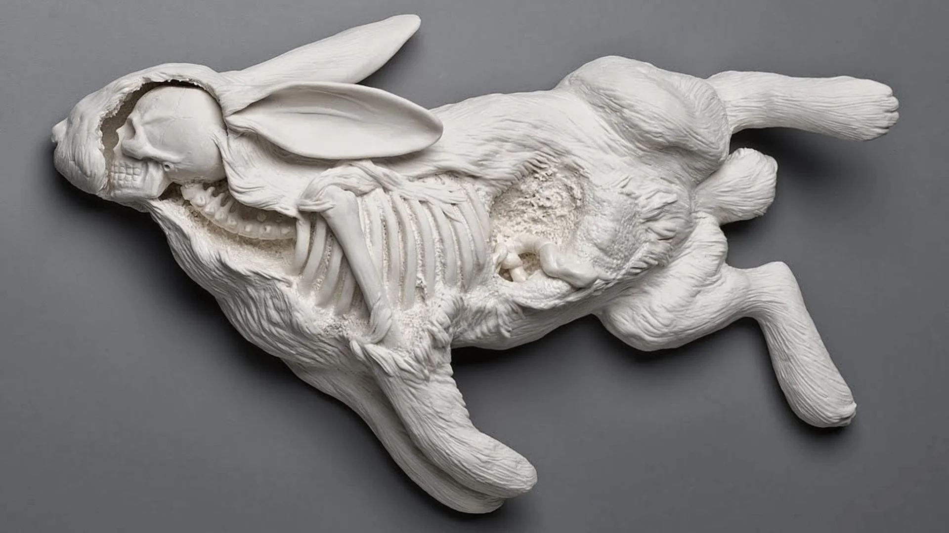 Sculptures by Kate MacDowell