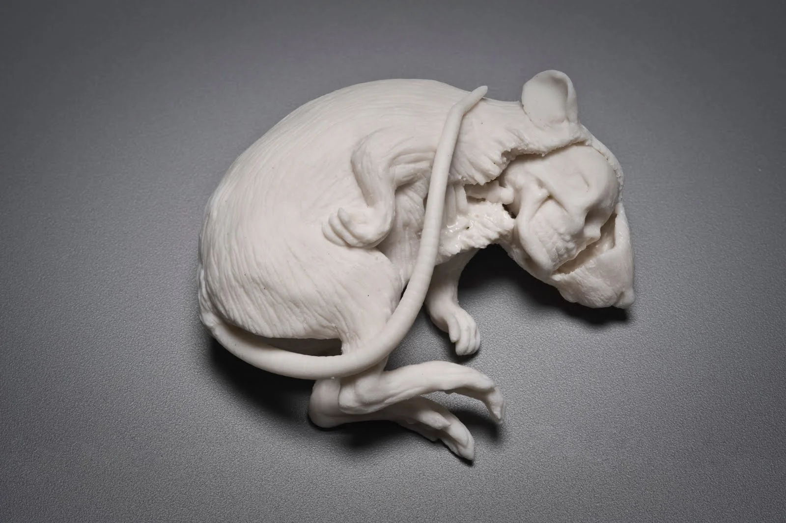 Pieces by Artist Kate MacDowell 