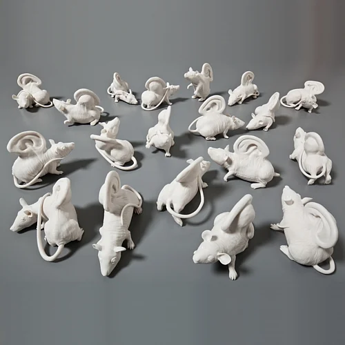 Pieces by Artist Kate MacDowell