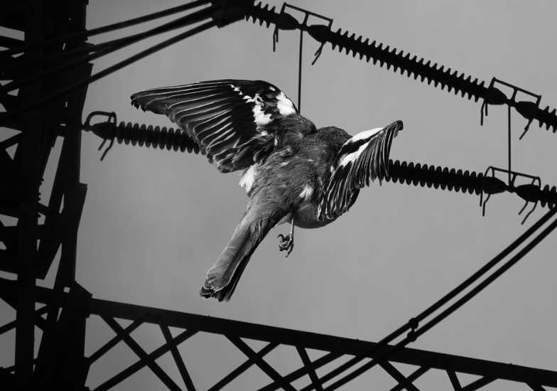 How Leaders Can Make Their Dark Side Brighter