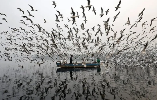 Photo by Saumya Khandelwal/Reuters