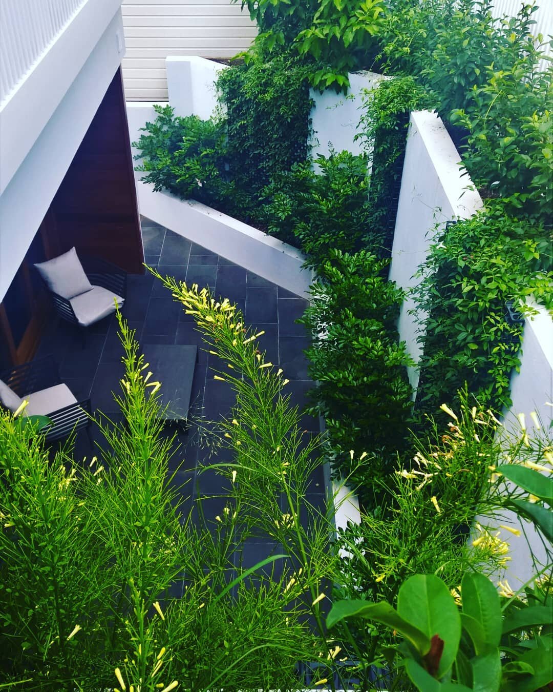 SUNKEN COURTYARD
Sloping sites can provide an opportunity to create a secluded retreat at the lower storey level. This stunning residence incorporates a private courtyard below the street level as the &ldquo;front yard&rdquo;, with plants taking over