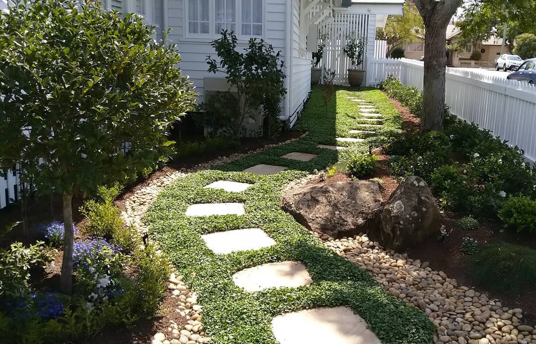 Spotted this awesome winding path by @sourcedandsorted today next to a site visit. Fantastic use of Dichondra tiles and lovely arrangement of planting across the whole yard. Great work by Lindy and Marg and looking forward to their photos and seeing 