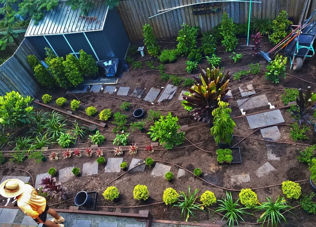 Flashback to setout day at Taringa backyard project. This is the &quot;busy-ness&quot; of the plant-out on a sloping block before digging in and mulching... .
.
.
@landscapebrisbane #aildmmember #landscapedesign #landscapequeensland 
#landscapearchit