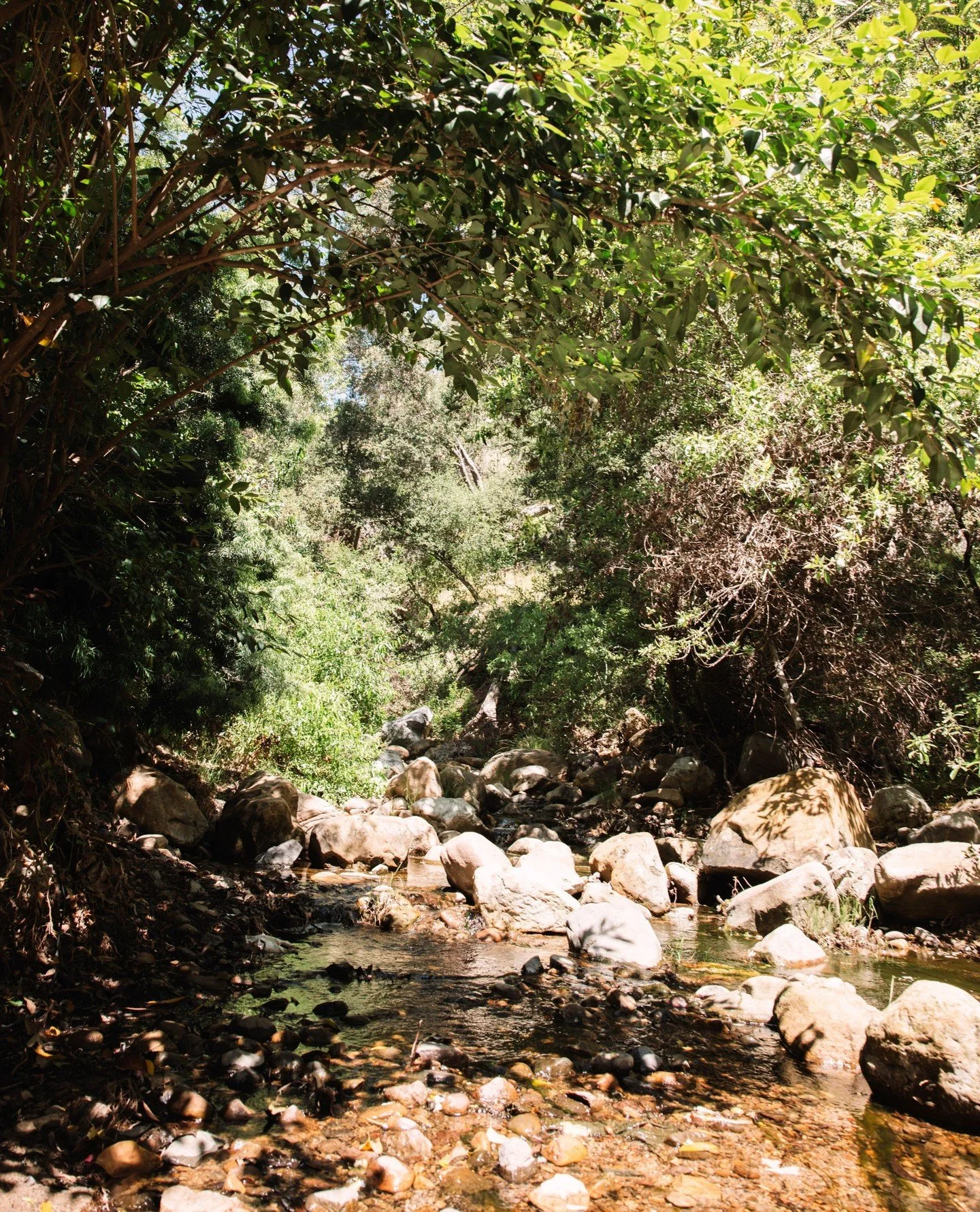 Tucked beneath the trees, where the creek moves softly over stone, dining feels a little different. The sound of the water, the glow around you, and a table waiting just steps away. This is what dining at Inn of the Seventh Ray is meant to feel like.