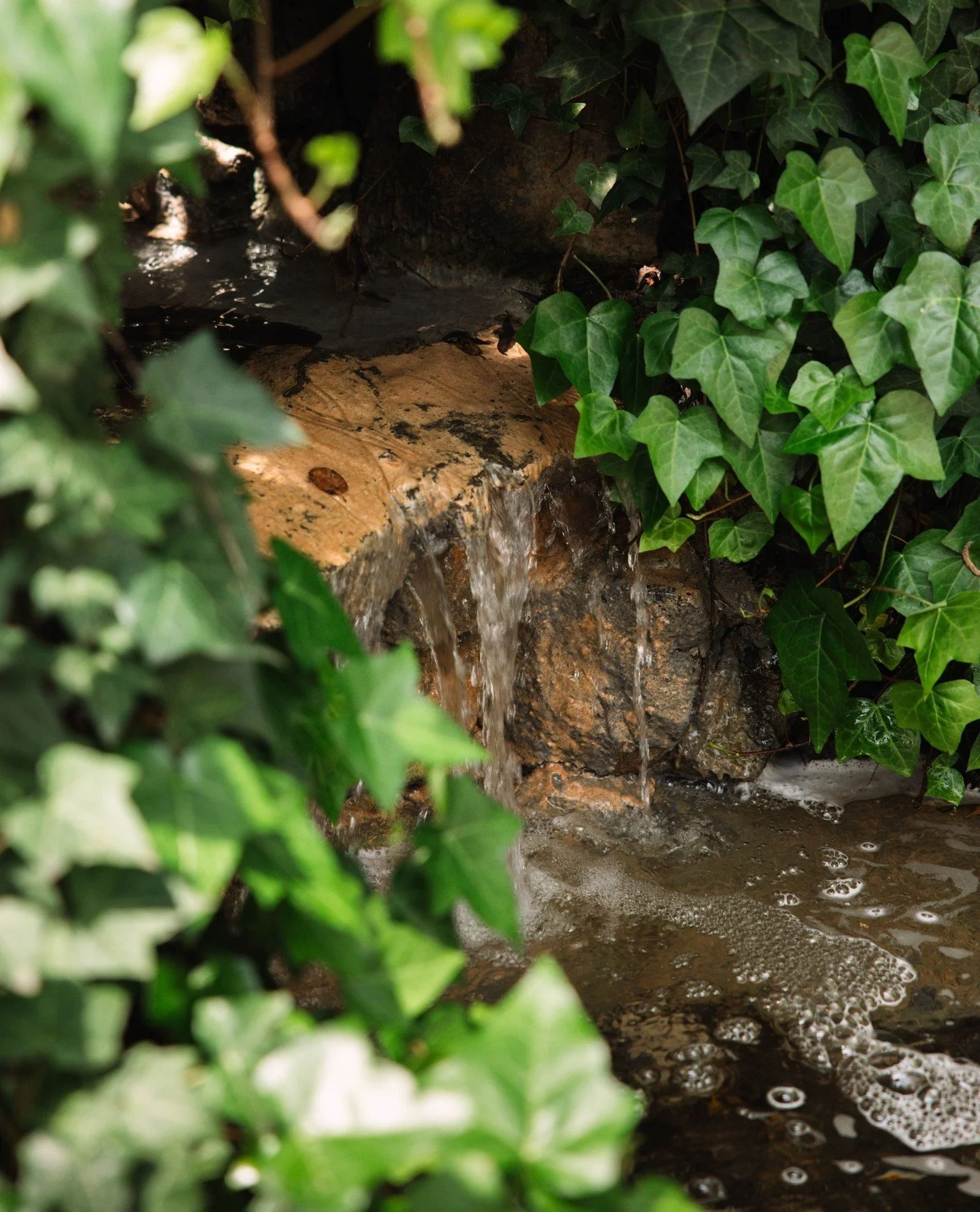The water babbles softly over stone, calling you in.⁠
Then a table, waiting quietly beneath the trees.⁠
And finally, the moment comes alive. Plates set, wine poured, something shared.⁠
A rhythm, a flow, a kind of energy you can feel from the first st
