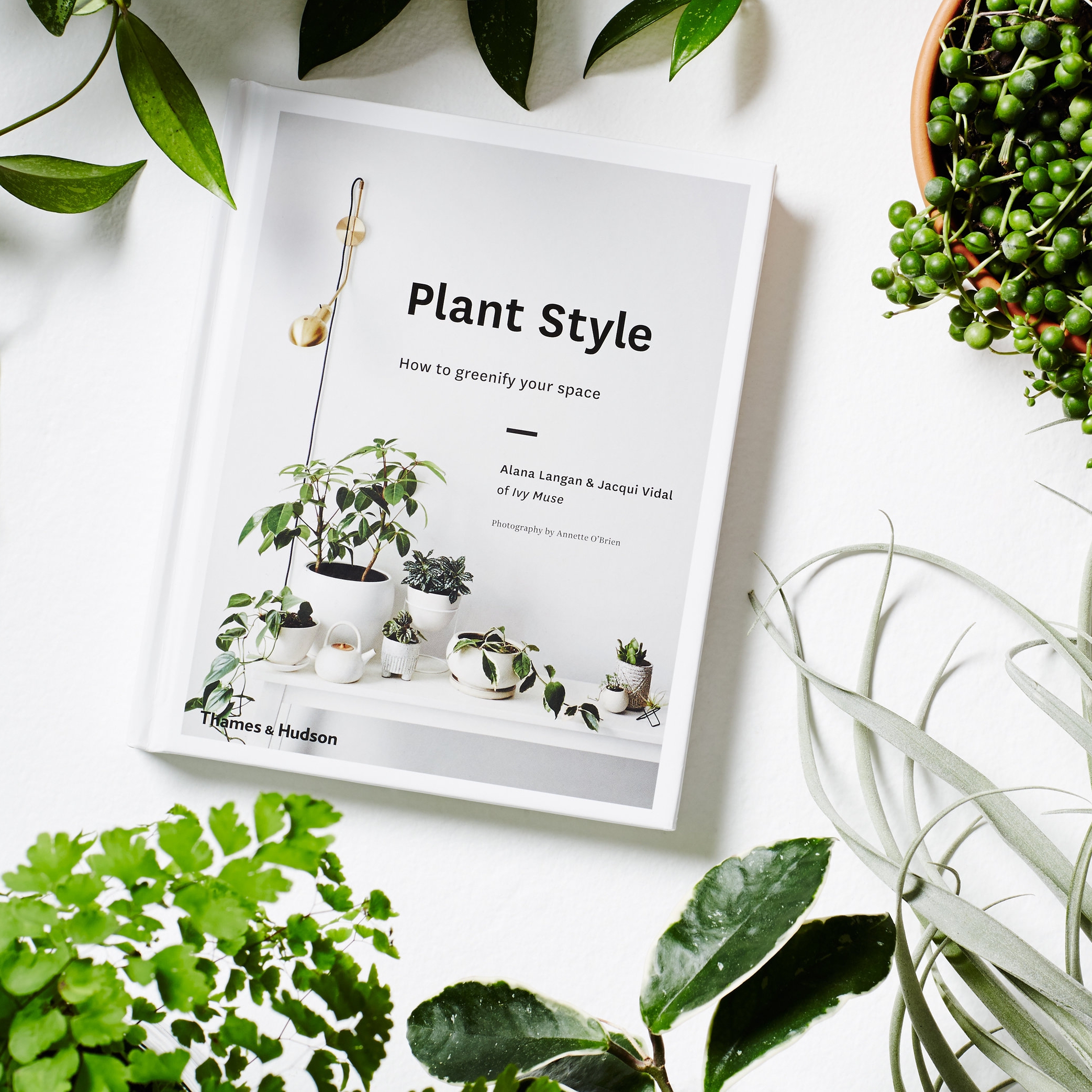 PlantStyle01b.jpg