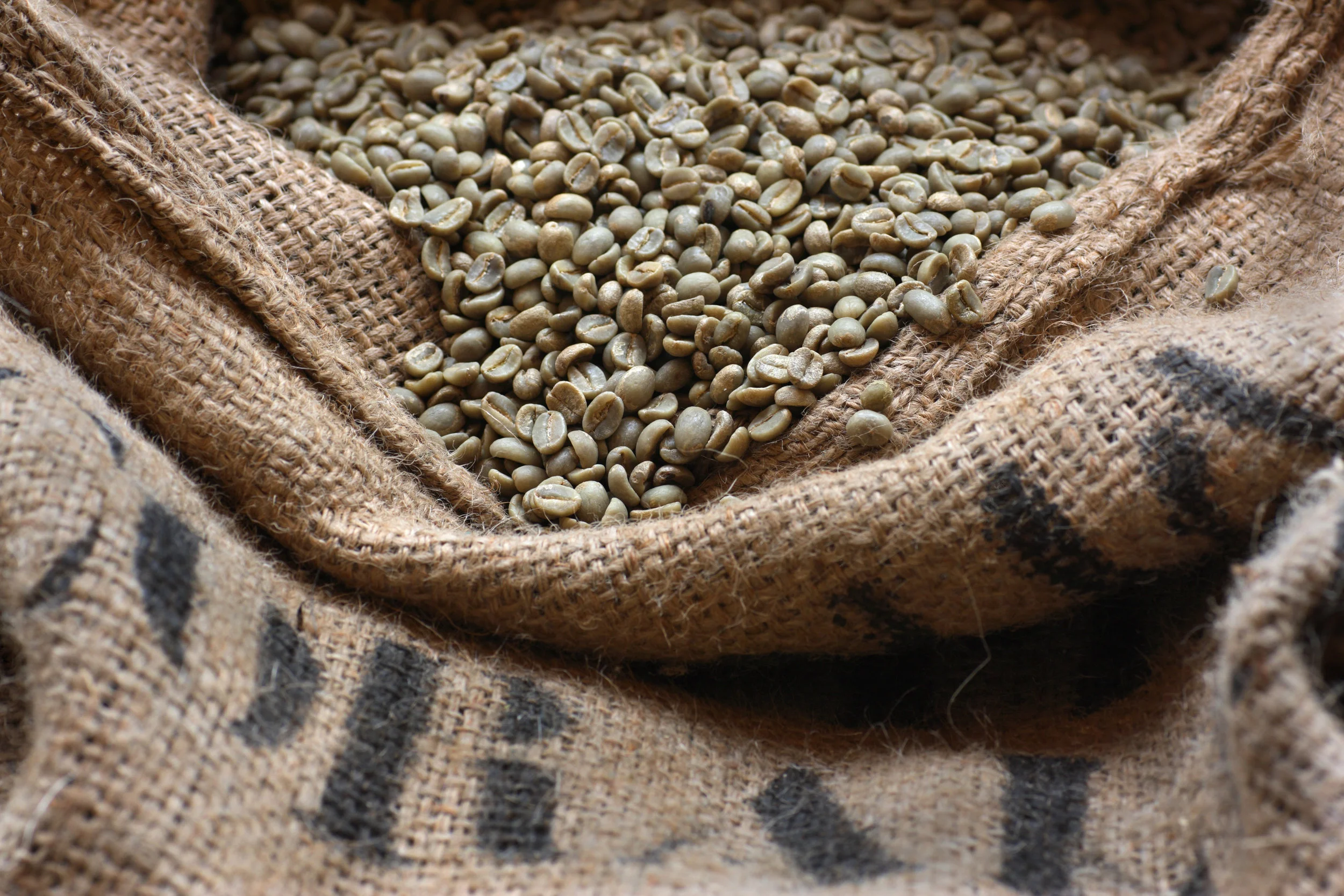AG Coffee beans in sack.jpg