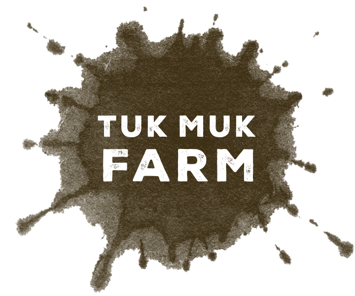 TukMuk-Website-LogoArt-v3.png