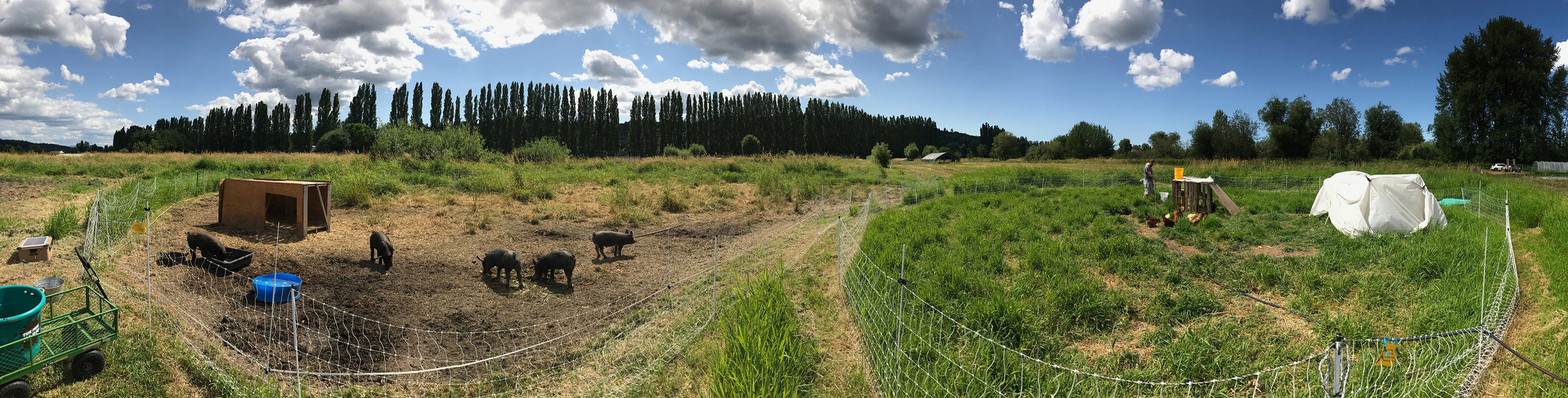 farm-panoramic-crop-2-800pxH.jpg