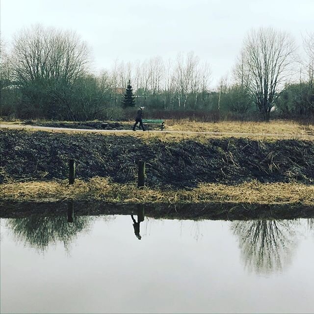 #uppsala #nature #sweden #reflections #magazinenature #menwalk @jrassociee @jr_galerie