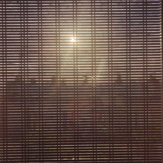 Confinamento #soleillevant #estriado #windowview #montmartre