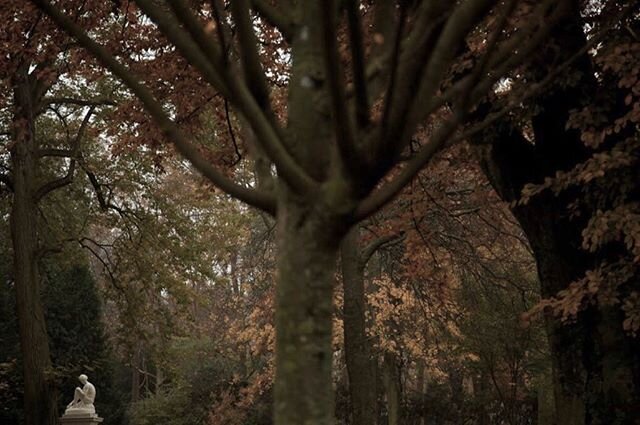 #tbt de quando ia fotografar est&aacute;tuas nos parques. 
#jardinduluxembourg #nature #silence #unautretemps #solitudes @jr_galerie @jrassociee