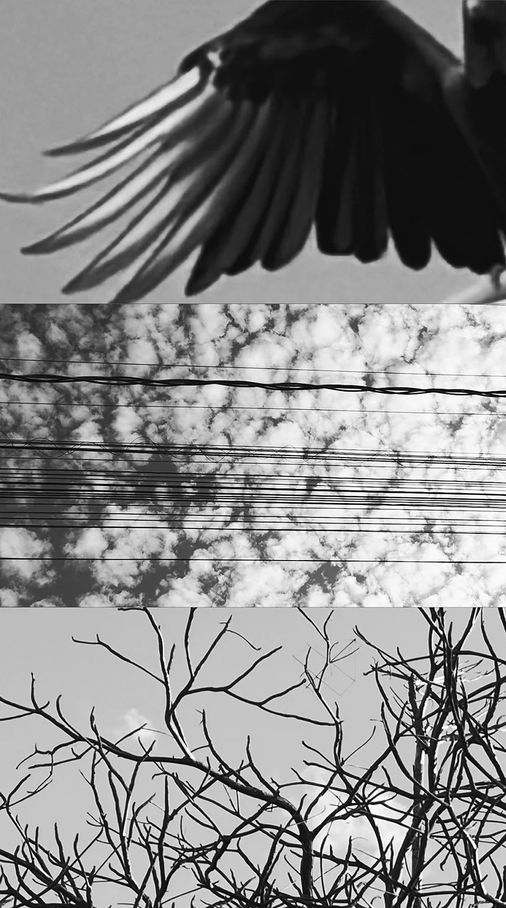 0A82C81D-8EBC-4572-AB2B-AB12F716F507 - cópia.jpg