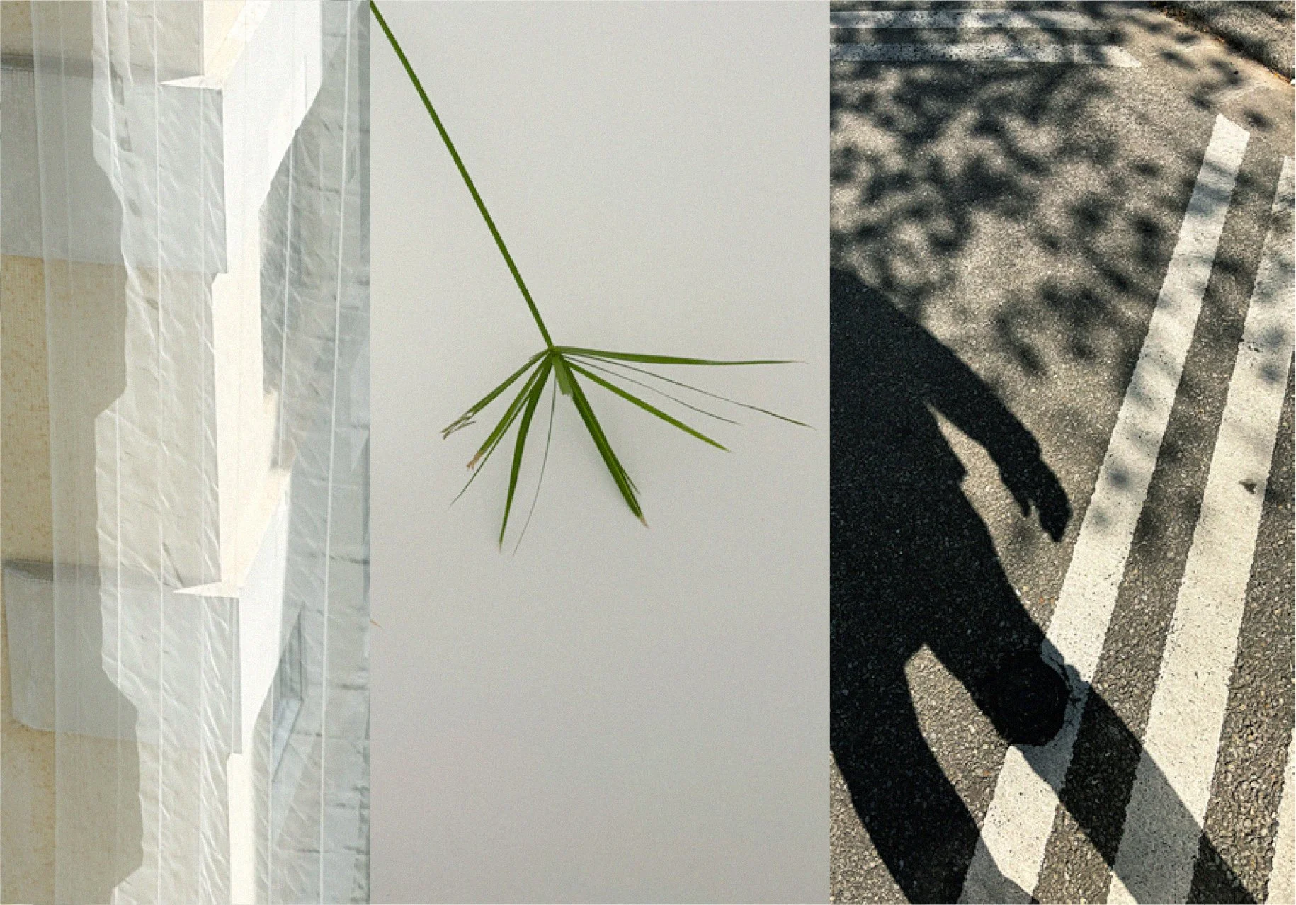COLAGENS_Final3_converted-31 copie.jpg