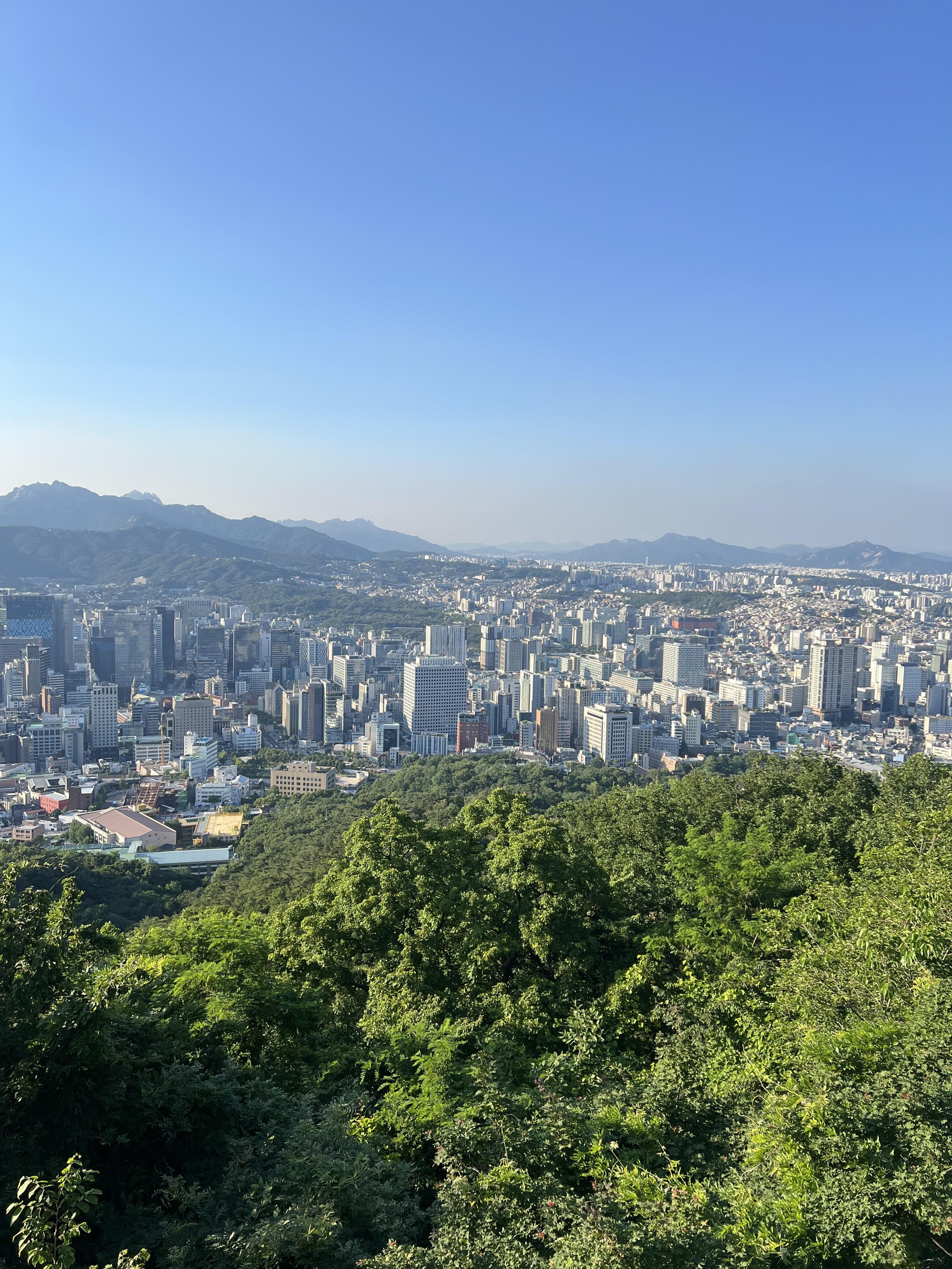 The Art of Seoul 