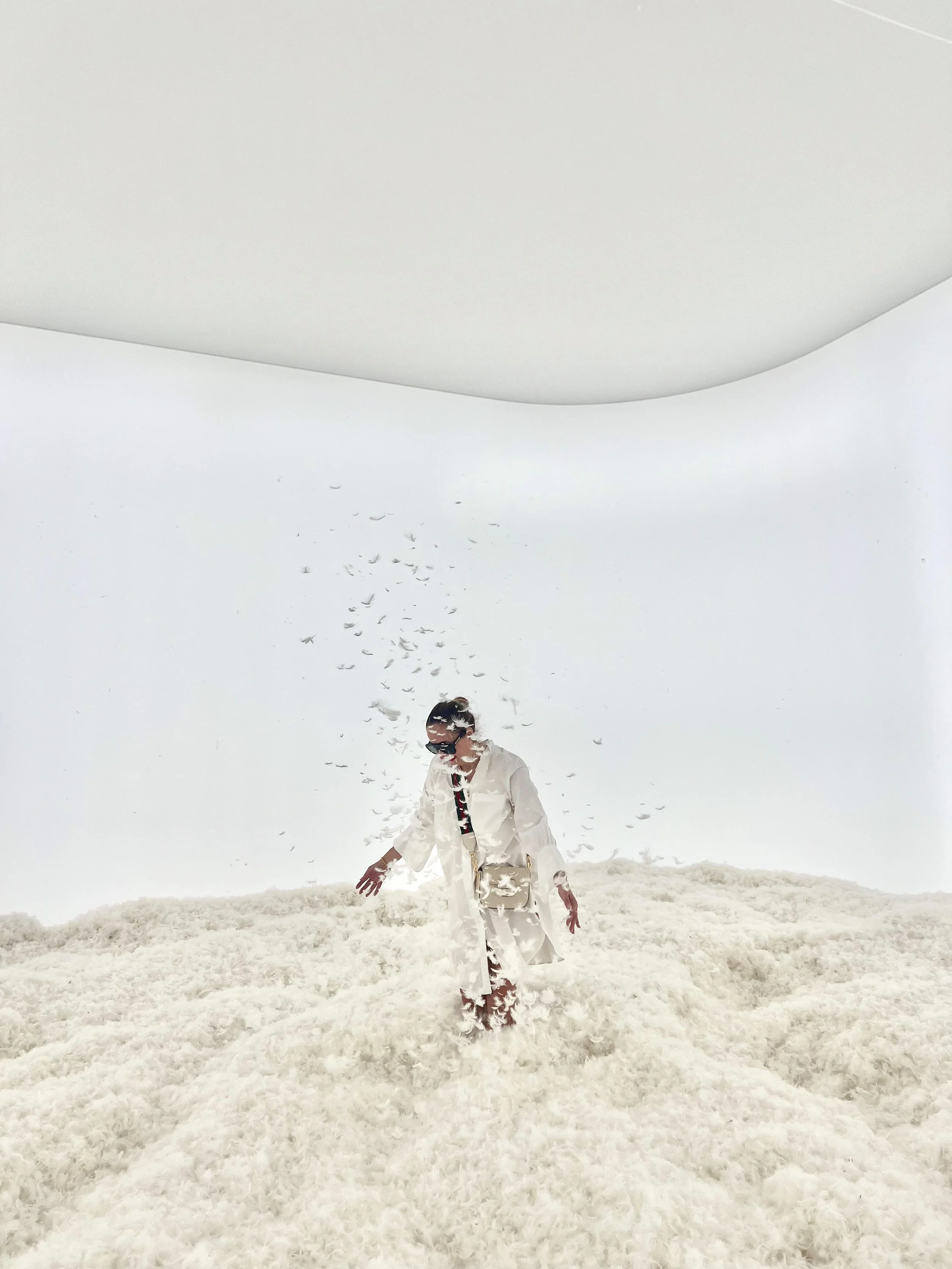 Feather_Room_Judy_Chicago