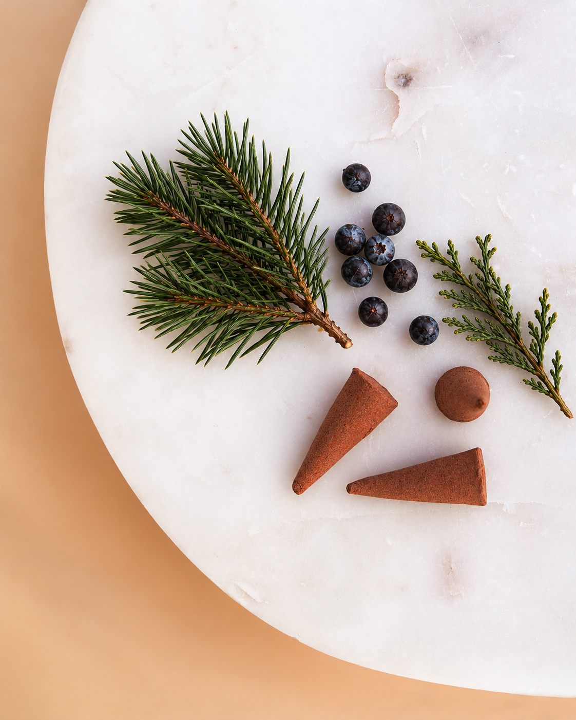 Botanical Juniper and Incense Still Life.png