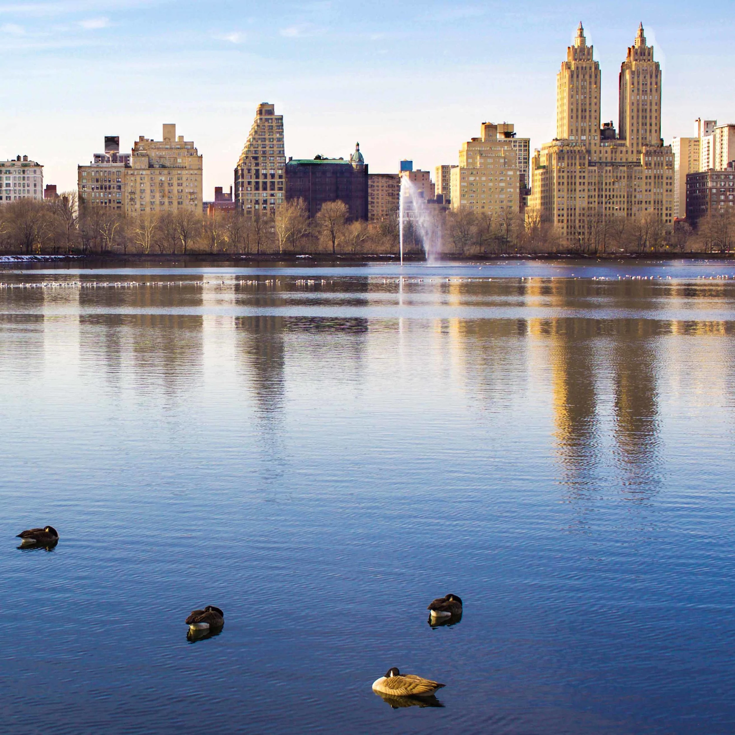 Central Park